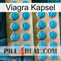 Viagra Capsule new08